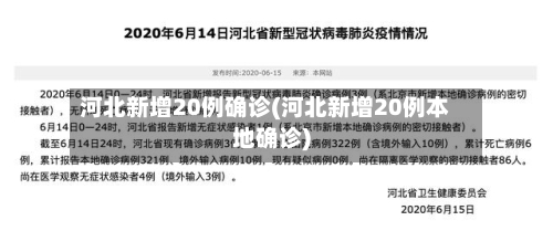 河北新增20例确诊(河北新增20例本地确诊)-第2张图片