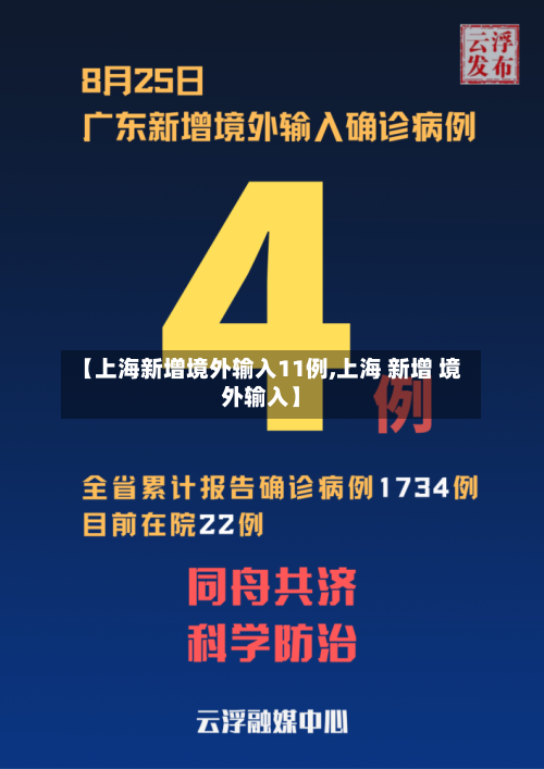 【上海新增境外输入11例,上海 新增 境外输入】