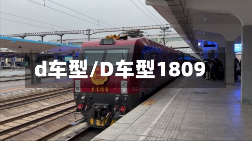 d车型/D车型1809