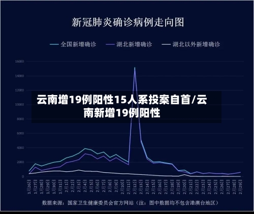 云南增19例阳性15人系投案自首/云南新增19例阳性