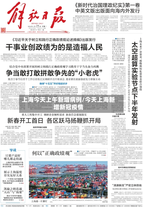 上海今天上午新增病例/今天上海新增新冠疫情-第2张图片