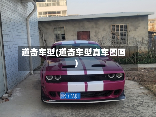 道奇车型(道奇车型真车图画)
