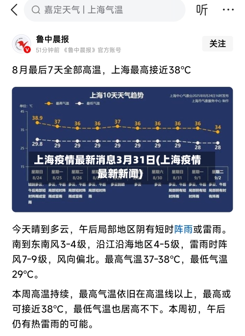 上海疫情最新消息3月31日(上海疫情最新新闻)