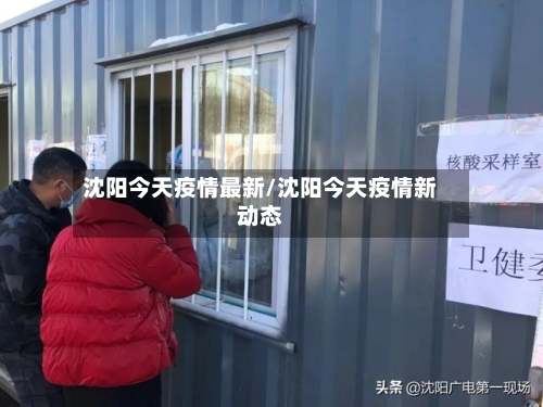 沈阳今天疫情最新/沈阳今天疫情新动态-第2张图片