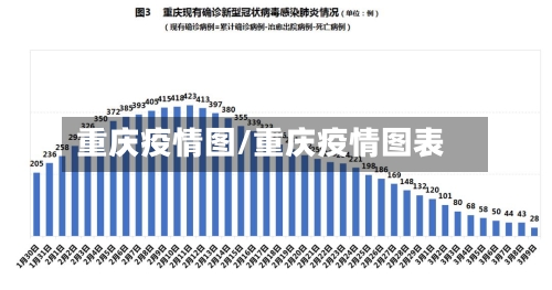 重庆疫情图/重庆疫情图表-第2张图片