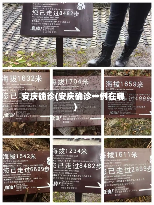 安庆确诊(安庆确诊一例在哪)