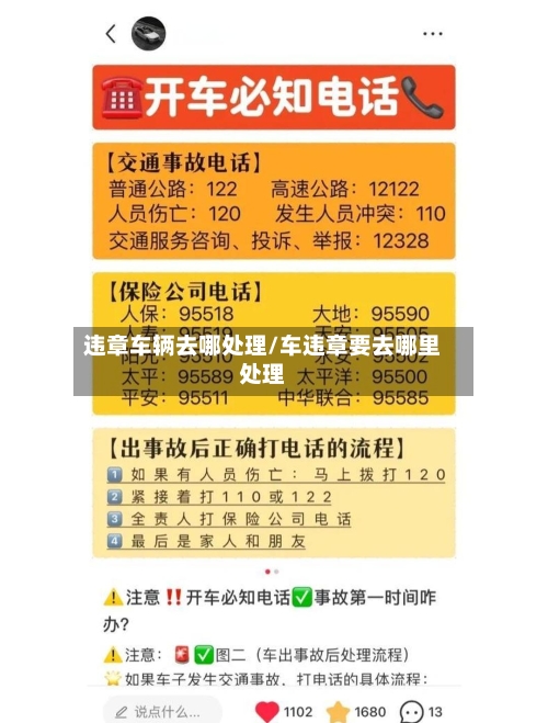 违章车辆去哪处理/车违章要去哪里处理