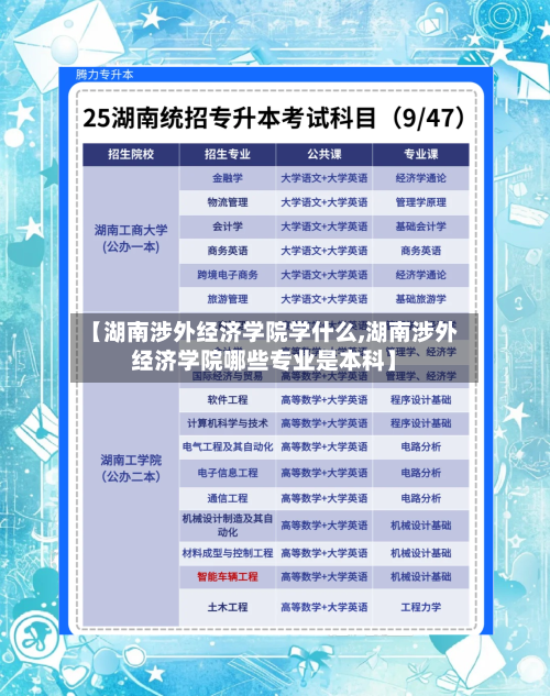 【湖南涉外经济学院学什么,湖南涉外经济学院哪些专业是本科】