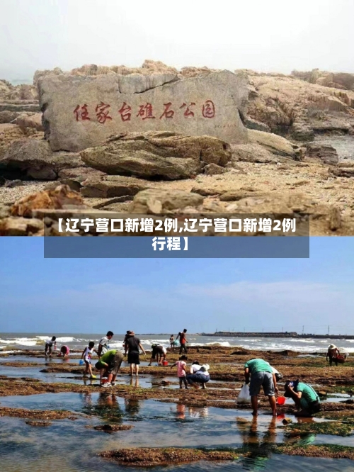 【辽宁营口新增2例,辽宁营口新增2例行程】-第2张图片