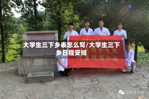 大学生三下乡表怎么写/大学生三下乡日程安排