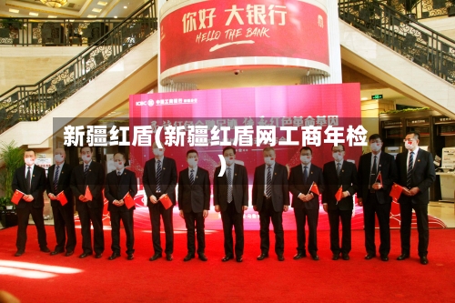 新疆红盾(新疆红盾网工商年检)