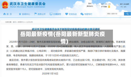 岳阳最新疫情(岳阳最新新型肺炎疫情)-第2张图片