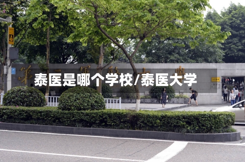 泰医是哪个学校/泰医大学-第2张图片