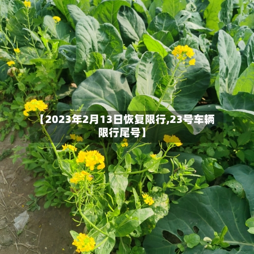 【2023年2月13日恢复限行,23号车辆限行尾号】-第2张图片