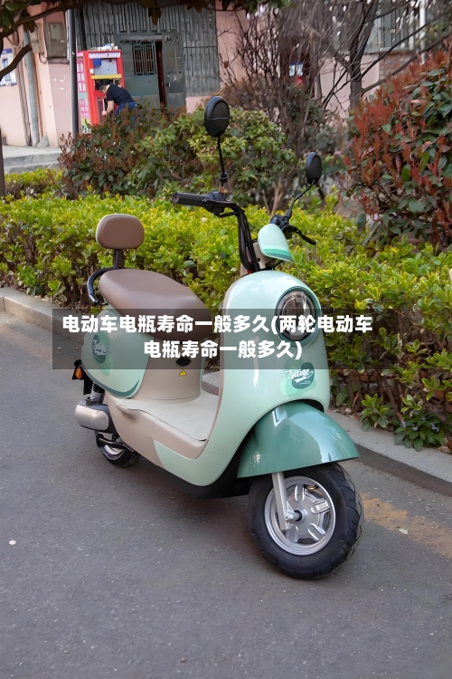 电动车电瓶寿命一般多久(两轮电动车电瓶寿命一般多久)