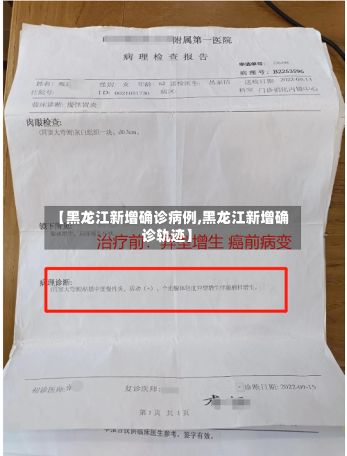 【黑龙江新增确诊病例,黑龙江新增确诊轨迹】