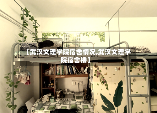 【武汉文理学院宿舍情况,武汉文理学院宿舍楼】-第2张图片