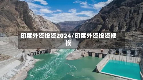 印度外资投资2024/印度外资投资规模