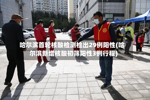 哈尔滨首轮核酸检测检出29例阳性(哈尔滨新增核酸初筛阳性3例行程)-第2张图片