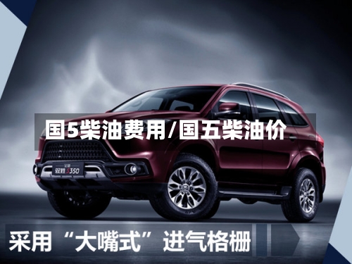 国5柴油费用/国五柴油价