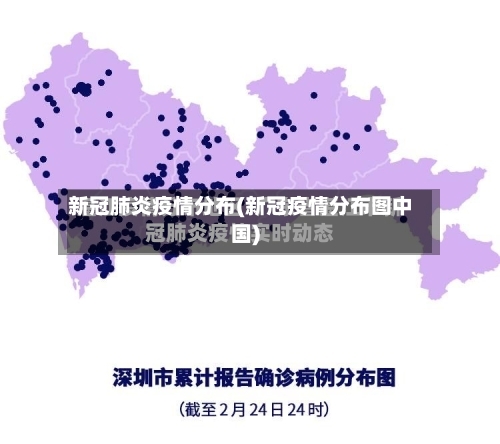 新冠肺炎疫情分布(新冠疫情分布图中国)-第2张图片