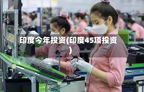 印度今年投资(印度45项投资)