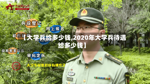 【大学兵给多少钱,2020年大学兵待遇给多少钱】-第2张图片