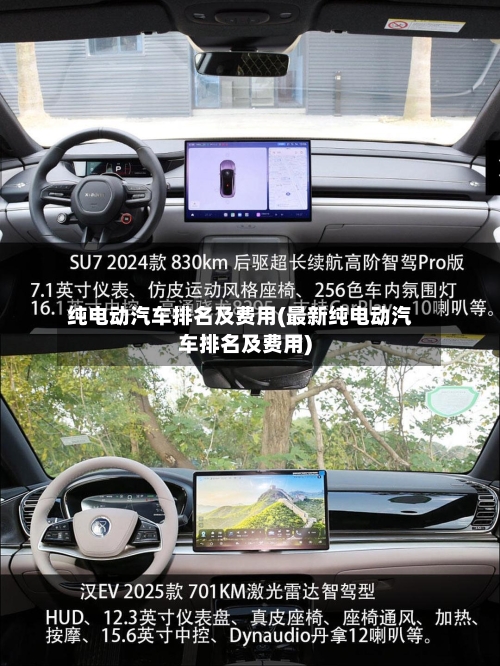 纯电动汽车排名及费用(最新纯电动汽车排名及费用)-第2张图片
