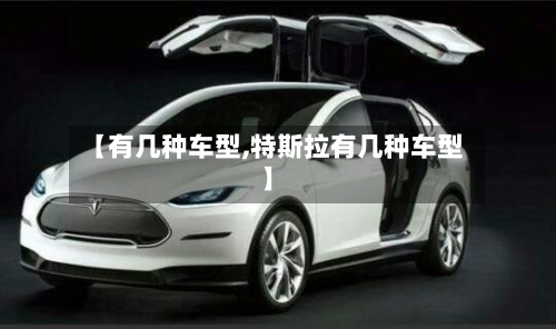 【有几种车型,特斯拉有几种车型】