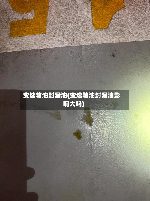 变速箱油封漏油(变速箱油封漏油影响大吗)