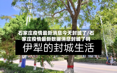 石家庄疫情最新消息今天封城了/石家庄疫情最新数据消息封城了吗-第2张图片