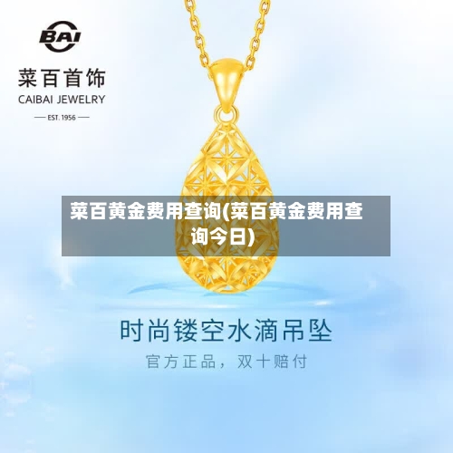 菜百黄金费用查询(菜百黄金费用查询今日)-第2张图片